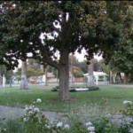 View from covered front porch of circular driveway in massive front yard. 4050 Adams St