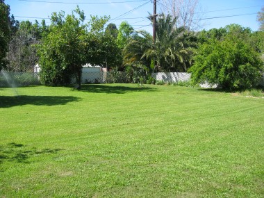 Alternative view of massive backyard, which contains the following trees: grapefruit, lemon, lime, apricot, apple, tangerine, tangelo, nectarine, peach, persimmon, guava, white fig, purple fig, pomegranate and pecan!  There is even a banana tree next to the pool (it is cut back in the winter, but will bloom again in spring).